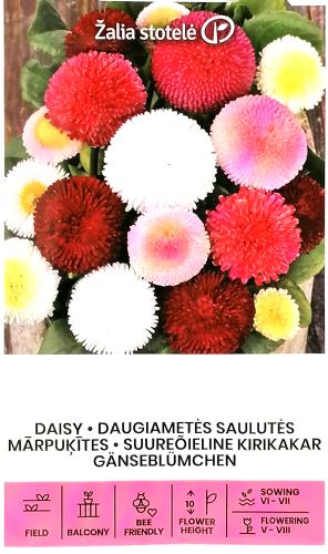 Bellis Mix Seeds